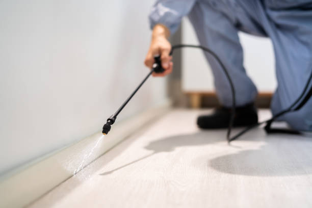 Licensed Rodent Control service in Marist College, NY - Nex Pest Control
