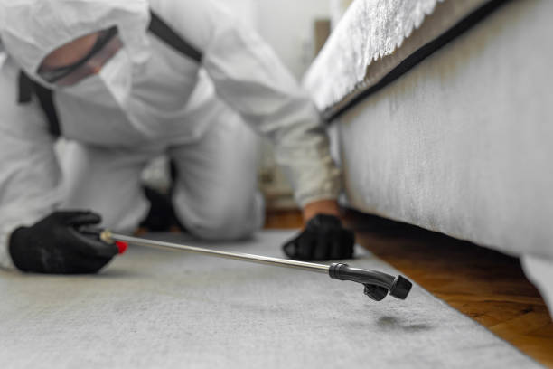 Professional Rodent Control technician working in Marist College, NY
