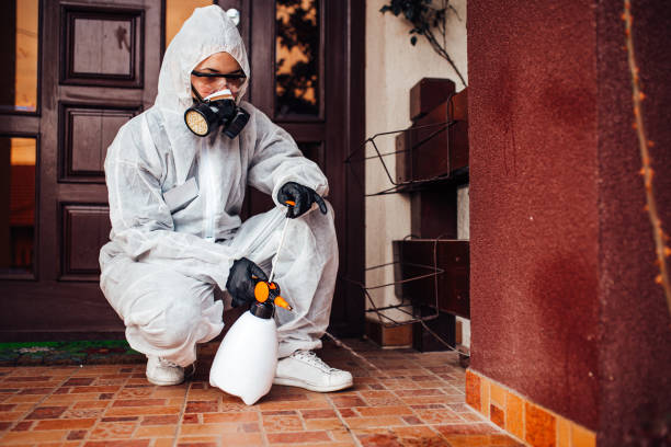 Reliable Rodent Control contractor in Marist College, NY by Nex Pest Control
