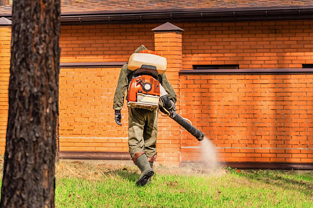Trusted Rodent Control service in Marist College, NY - Nex Pest Control